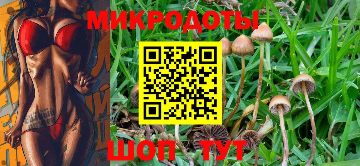 Галлюциногенные грибы Cubensis Прохладный