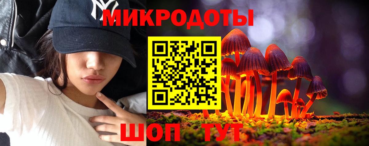 Галлюциногенные грибы Cubensis  Вход с VPN  Прохладный 